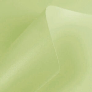 Fendi Perolizado(Verde Claro)